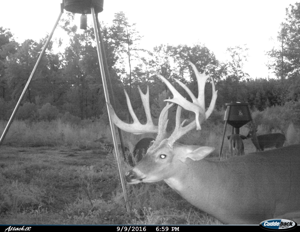 Home Bontrager Whitetails